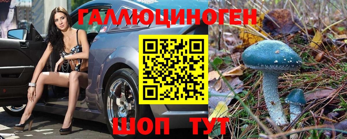 дарнет шоп  Вход с VPN  Рассказово  Галлюциногенные грибы MAGIC MUSHROOMS 